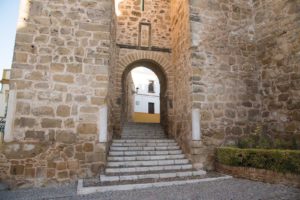Consolidación y restauración